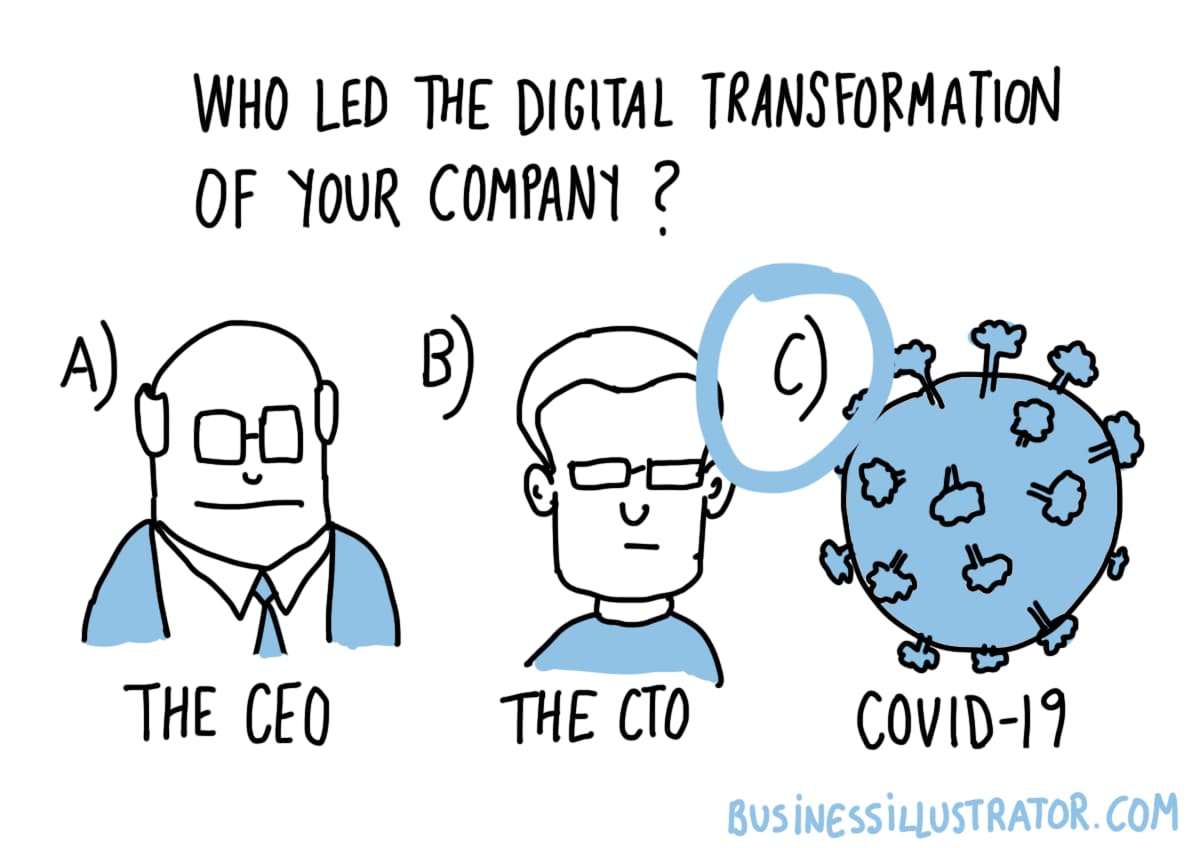 Who led the digital transformation of your company?